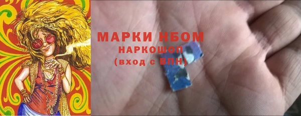 PSILOCYBIN Богданович