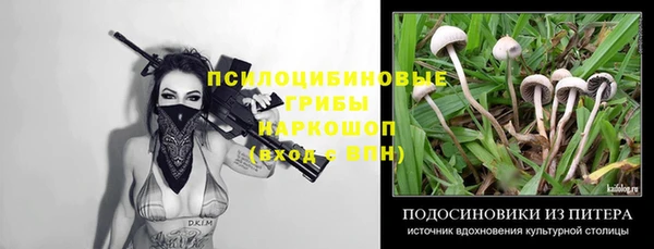 метадон Аркадак