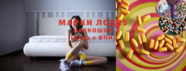 PSILOCYBIN Богданович