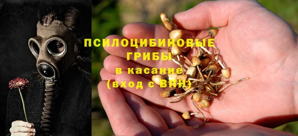 кокаин премиум Богородицк