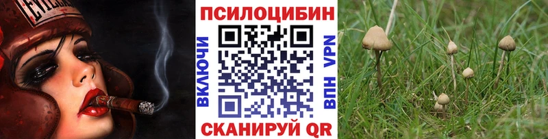 Псилоцибиновые грибы Psilocybe Пятигорск